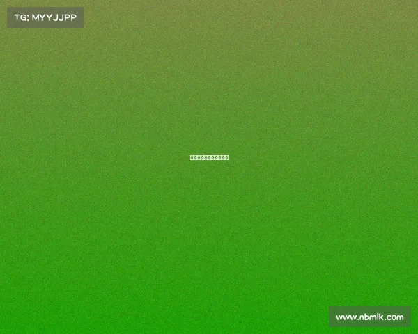 快船队连胜再次刷新记录 快船队连胜再次刷新记录