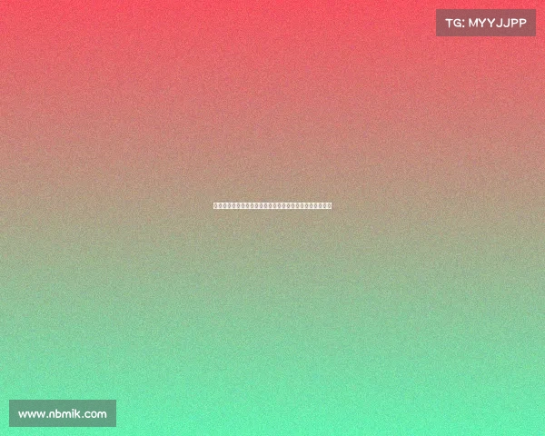 王晓晖与施小琳会见李家超:深化香港与内地合作的新机遇